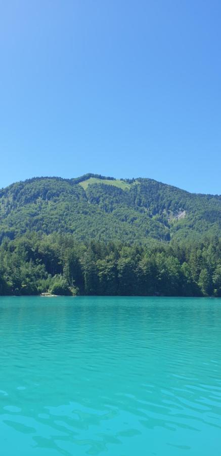 Ferienwohnung Am Fuschlsee Fuschl am See Dış mekan fotoğraf